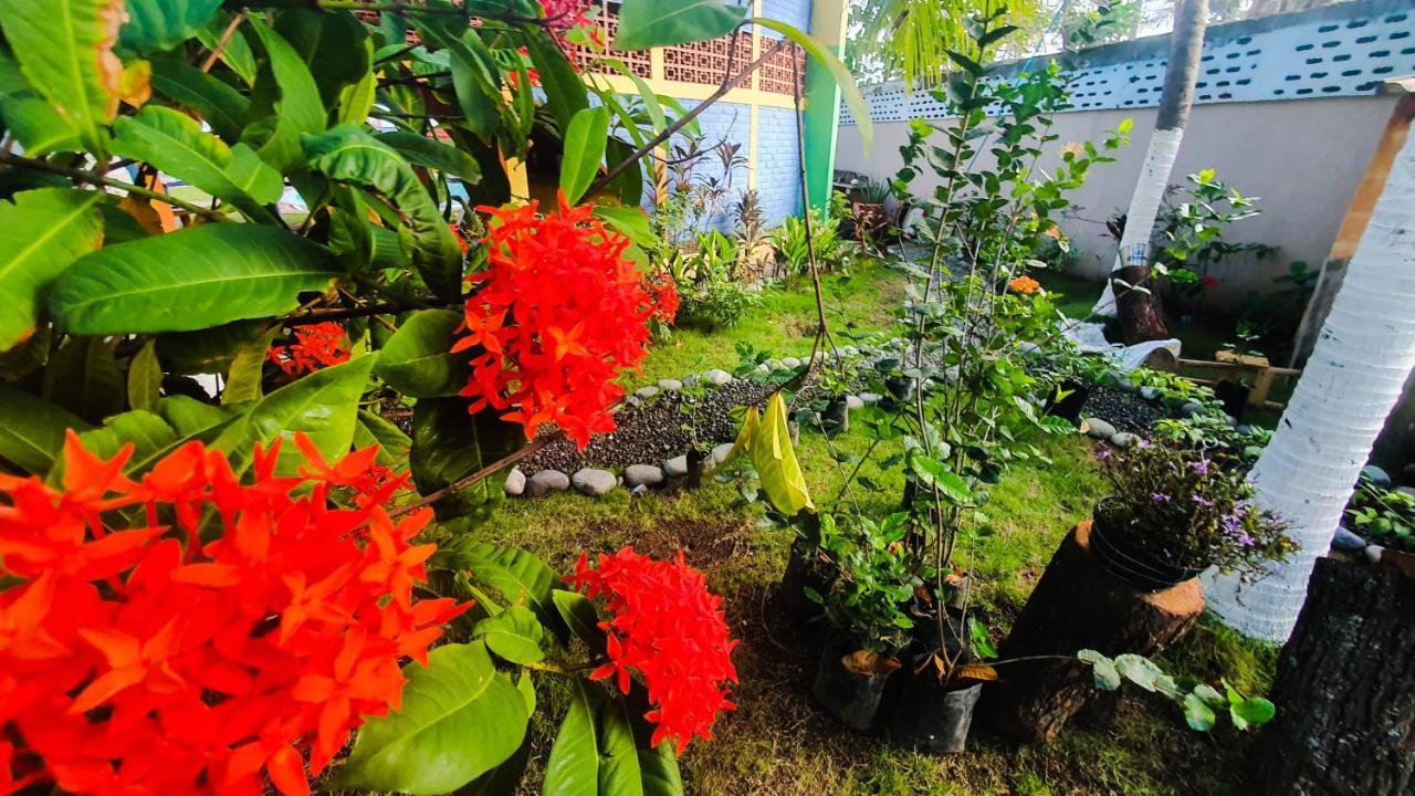 Hostal Club Mochilero ลาลิแบร์ตัด ภายนอก รูปภาพ